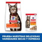 Hill's Science Plan Adult Cordero pienso para gatos, , large image number null